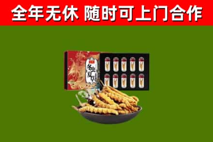 云溪区回收冬虫夏草价格